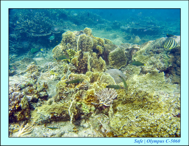 2008 - 07 - Redang - 087